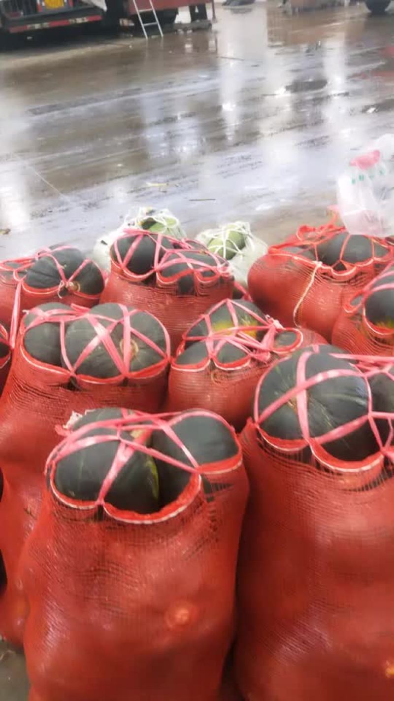 缅甸进口板栗南瓜