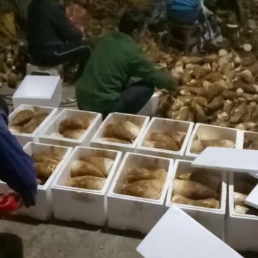 笋类欢迎大量下单，新老顾客