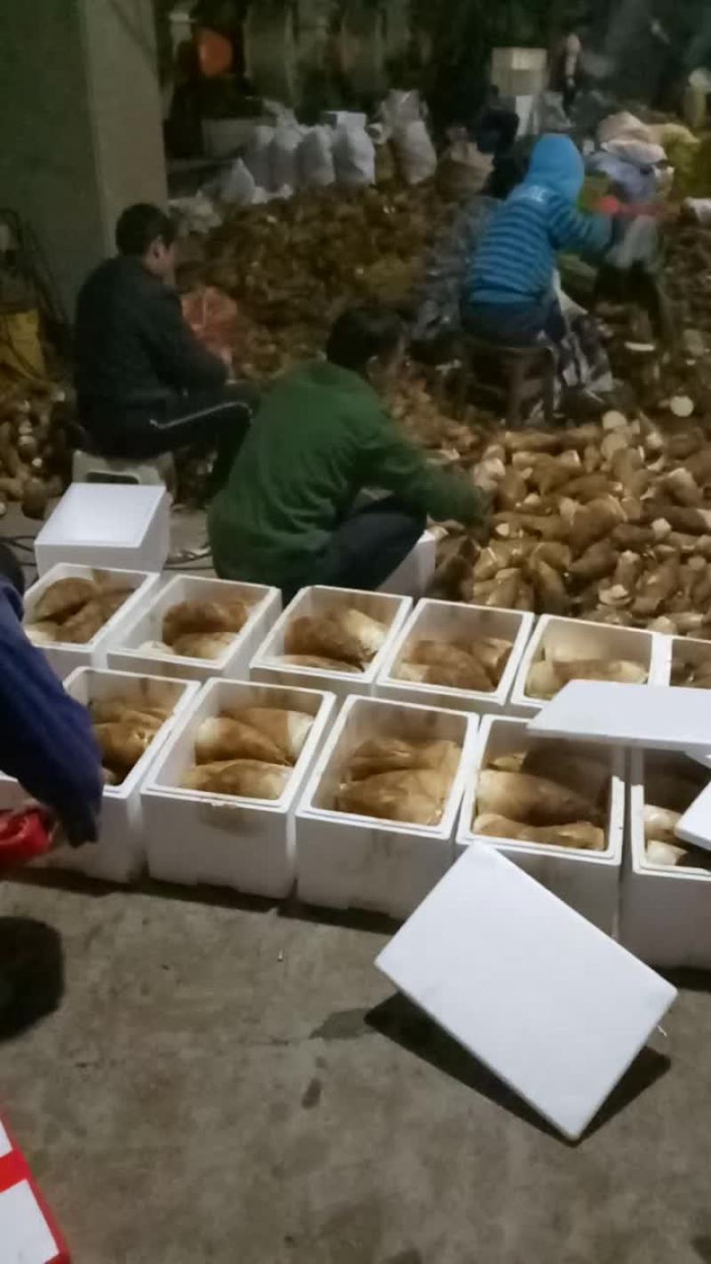 笋类欢迎大量下单，新老顾客
