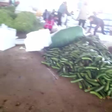 波罗