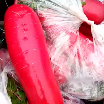 红萝卜，精品红萝卜各种蔬菜