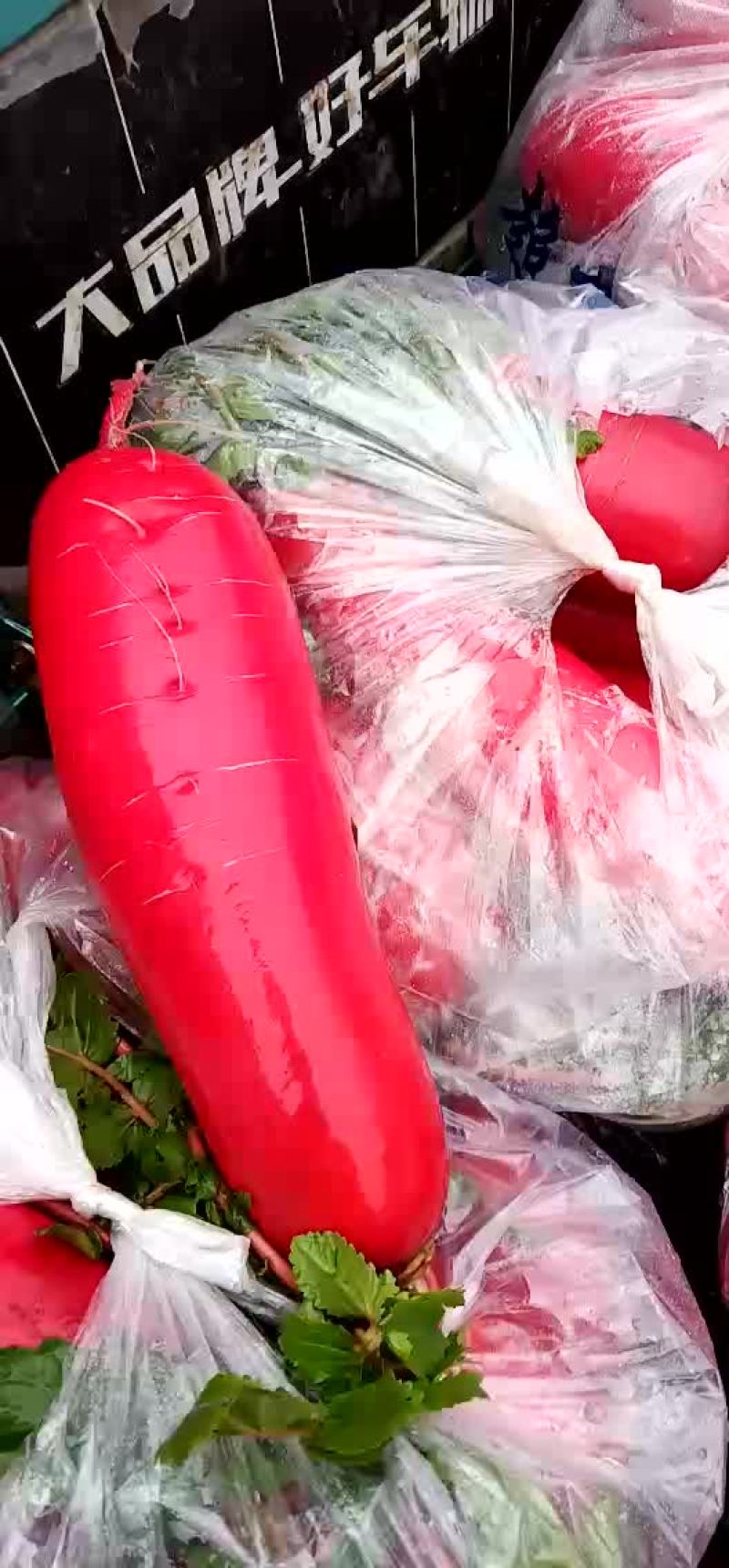 红萝卜，精品红萝卜各种蔬菜