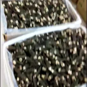 羊肚菌羊肚菌：每100g羊肚菌含蛋白质24.5g含1