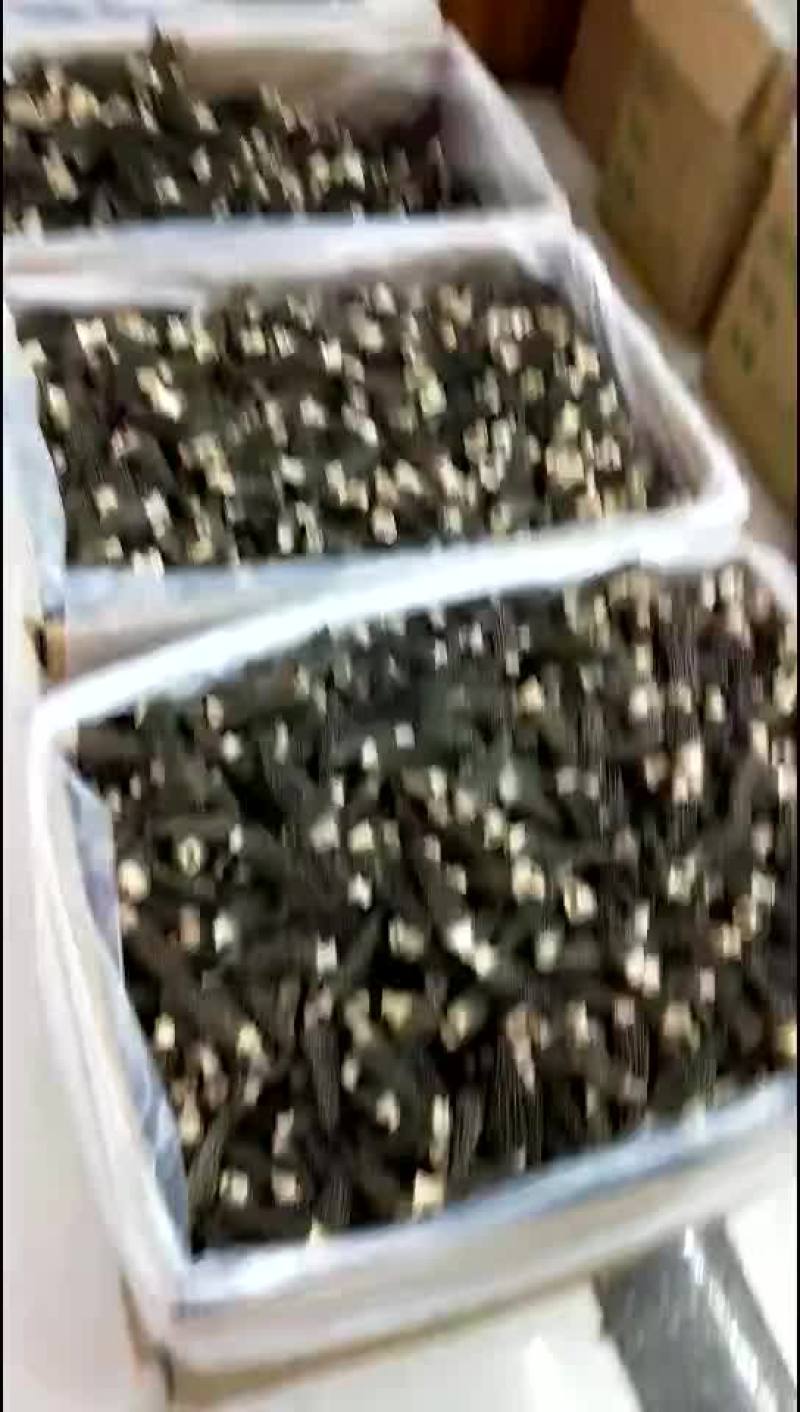 羊肚菌羊肚菌：每100g羊肚菌含蛋白质24.5g含1