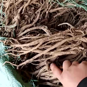 川断，统货