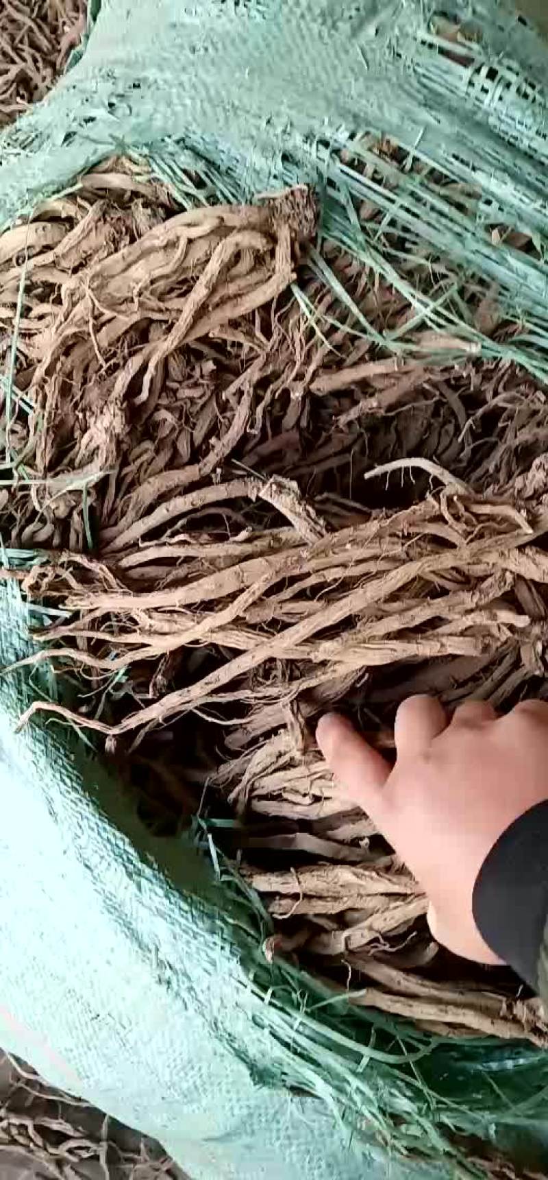 川断，统货