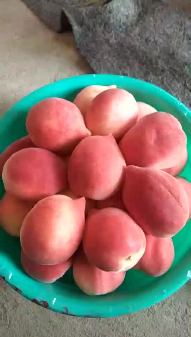 李孑，桃。