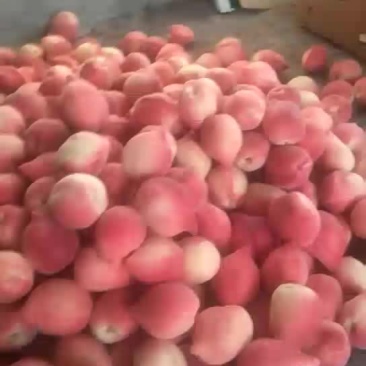 李孑，桃。
