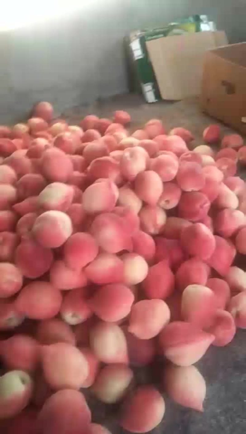 李孑，桃。