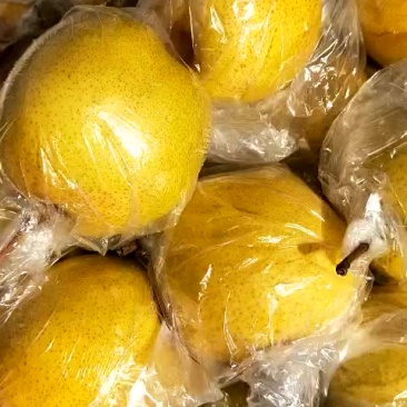 蜜梨。我这有大量秘密个头大口感好。