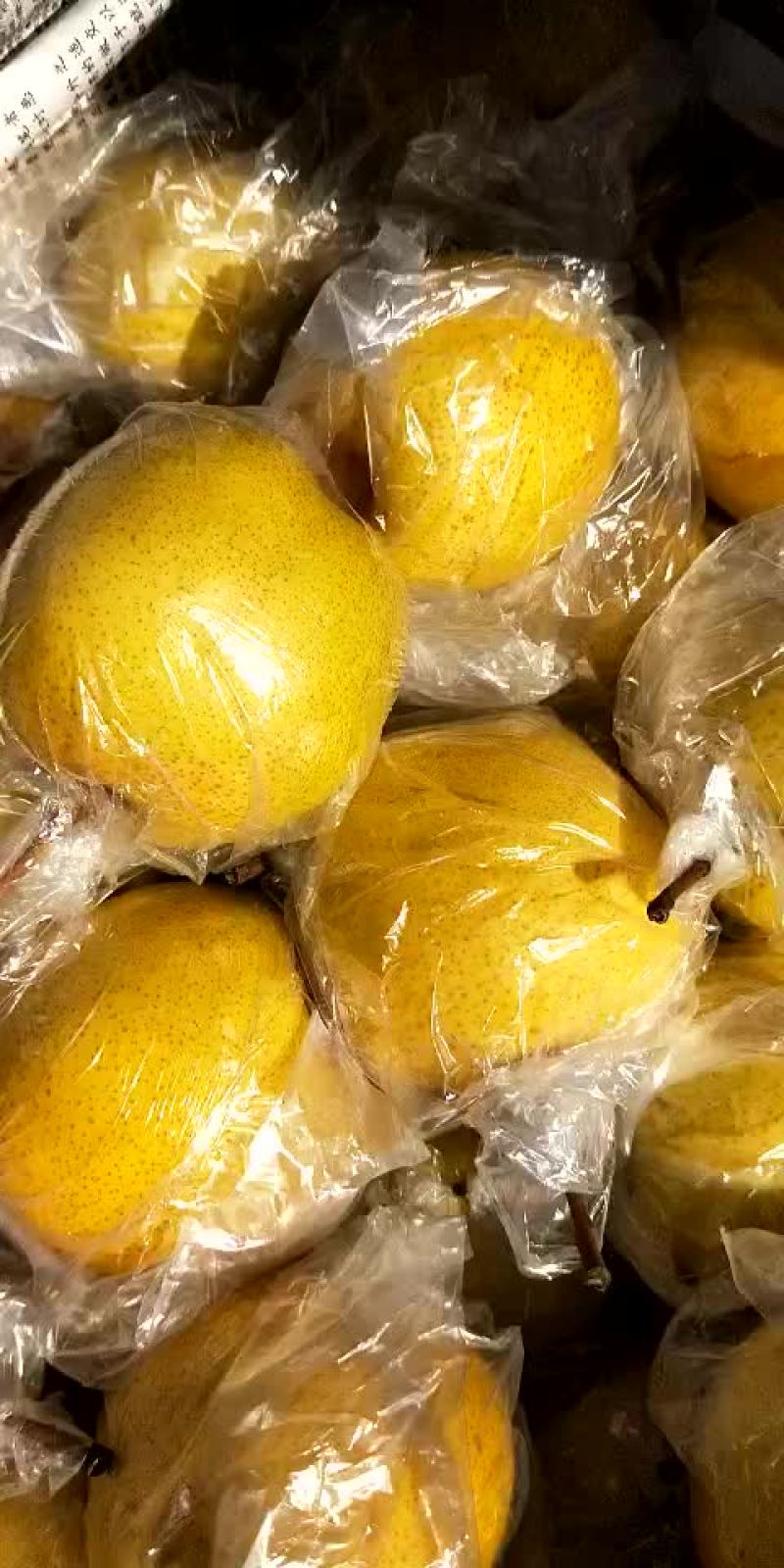 蜜梨。我这有大量秘密个头大口感好。