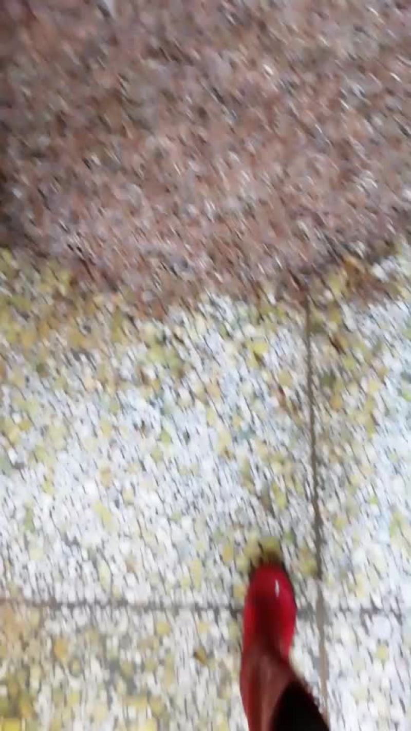 鱼仔河虾