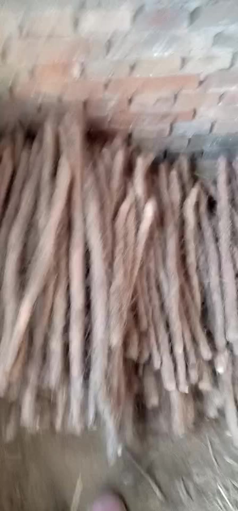 山药