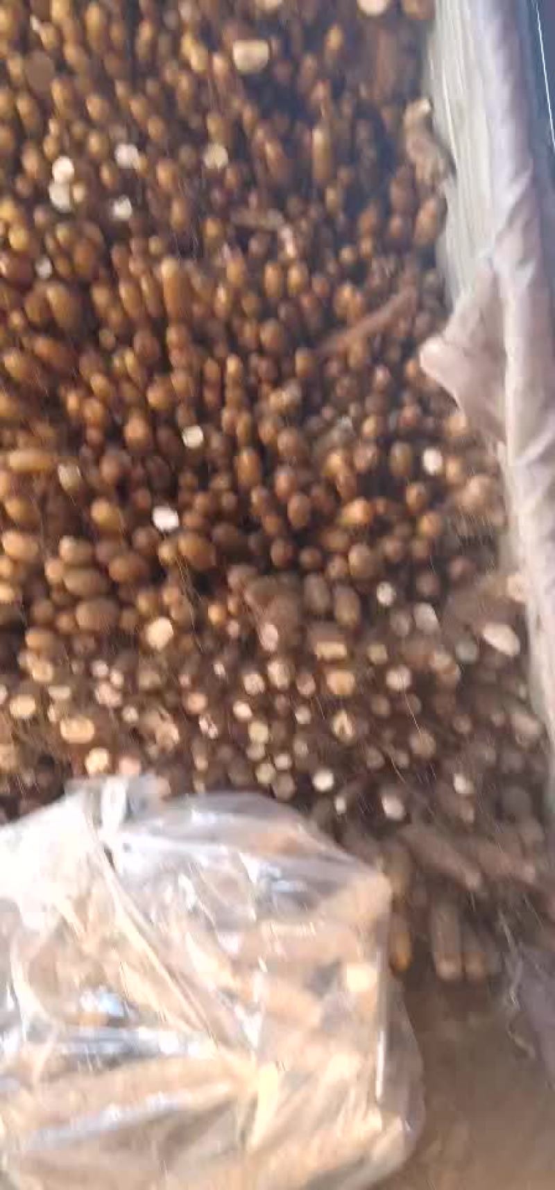 山药