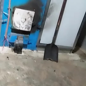 羊肚菌干货