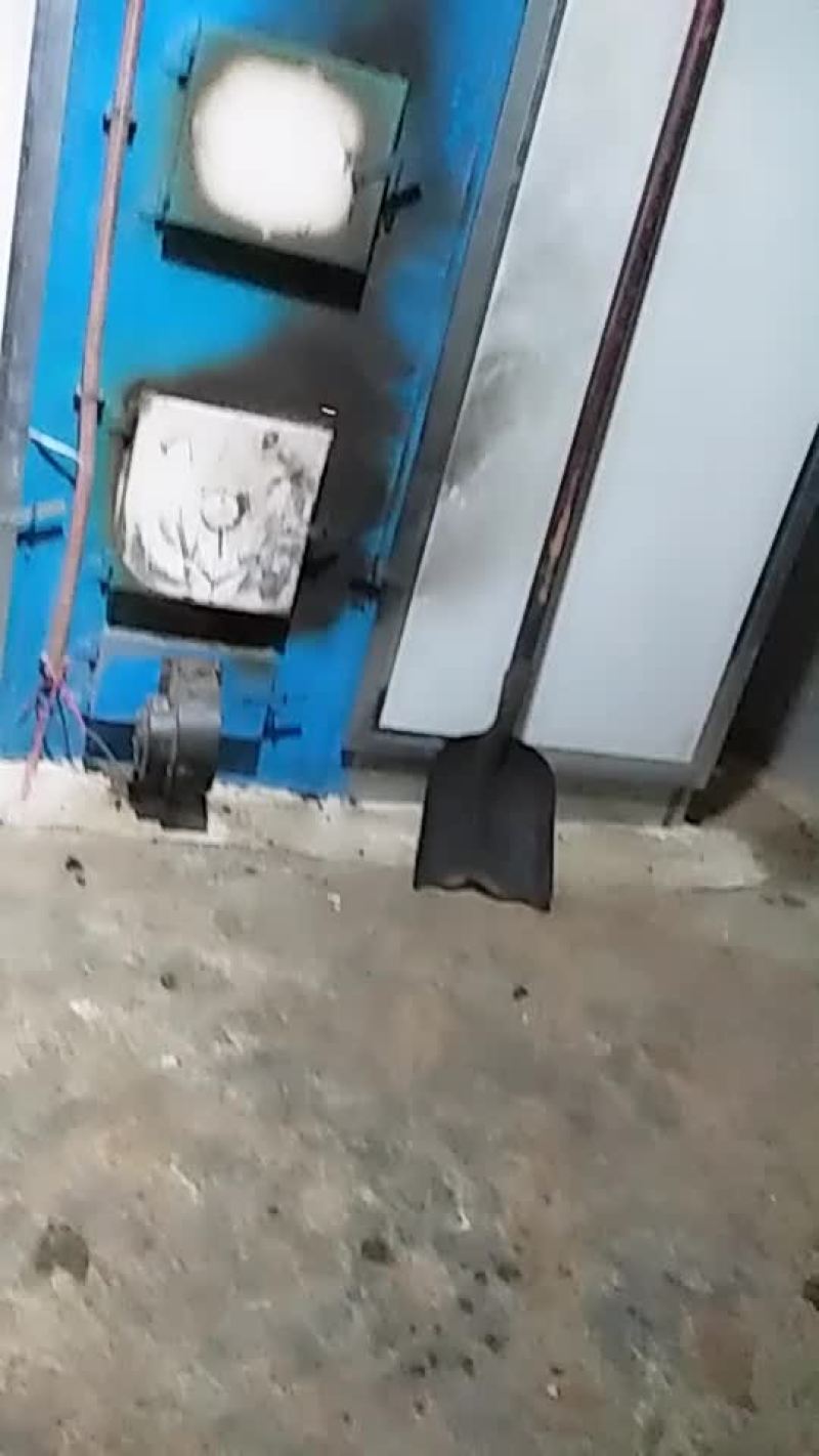 羊肚菌干货