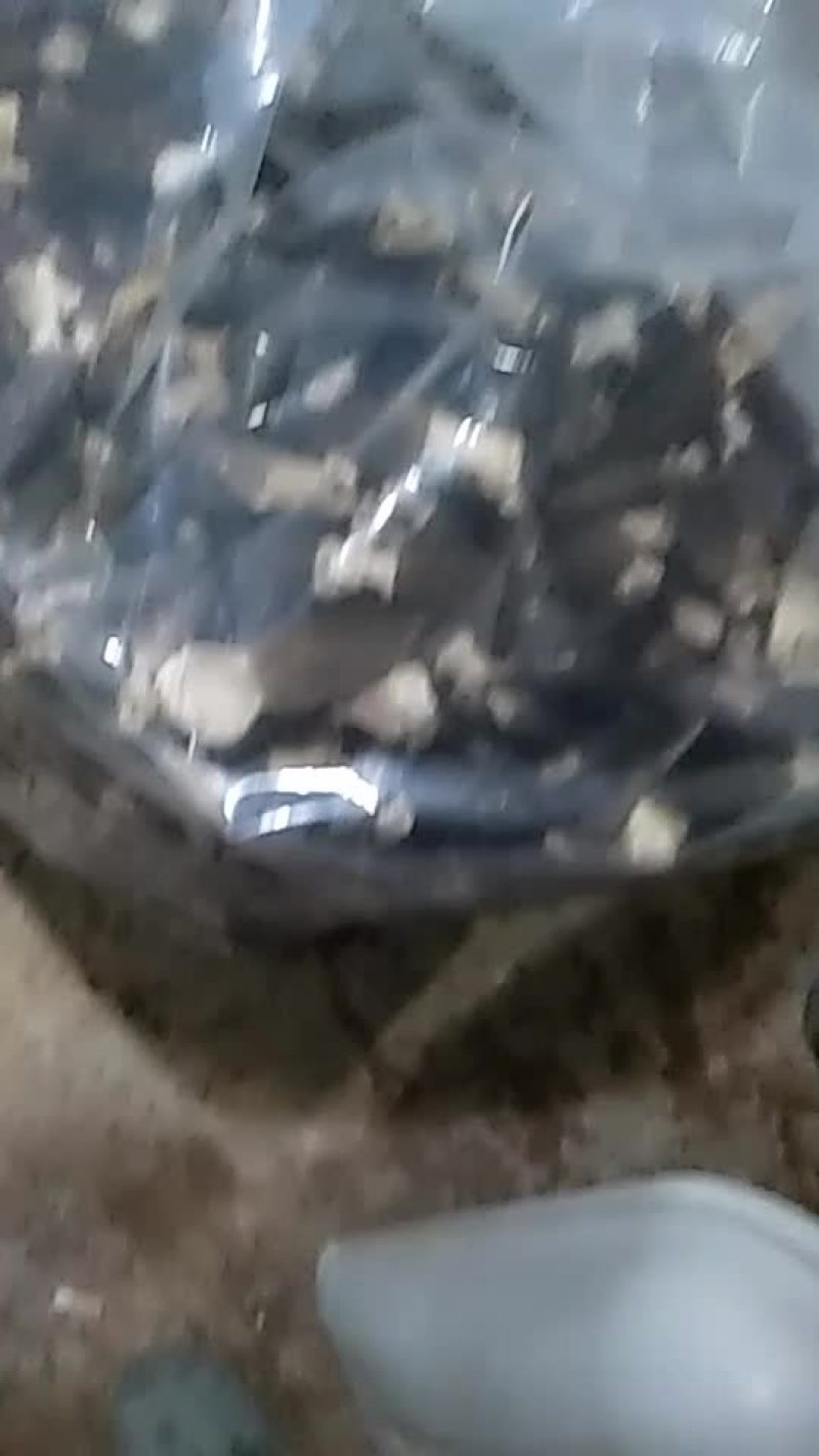 羊肚菌干货