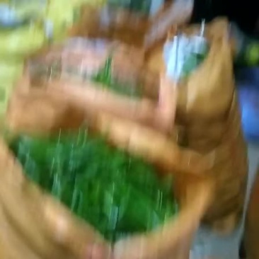 线椒