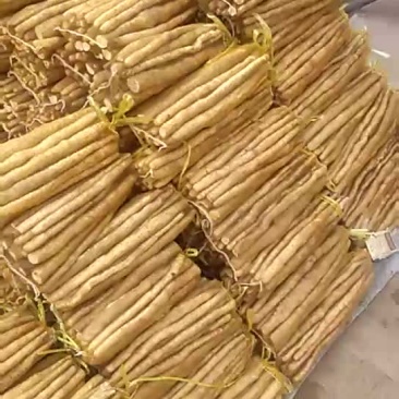 白嘴网袋货
