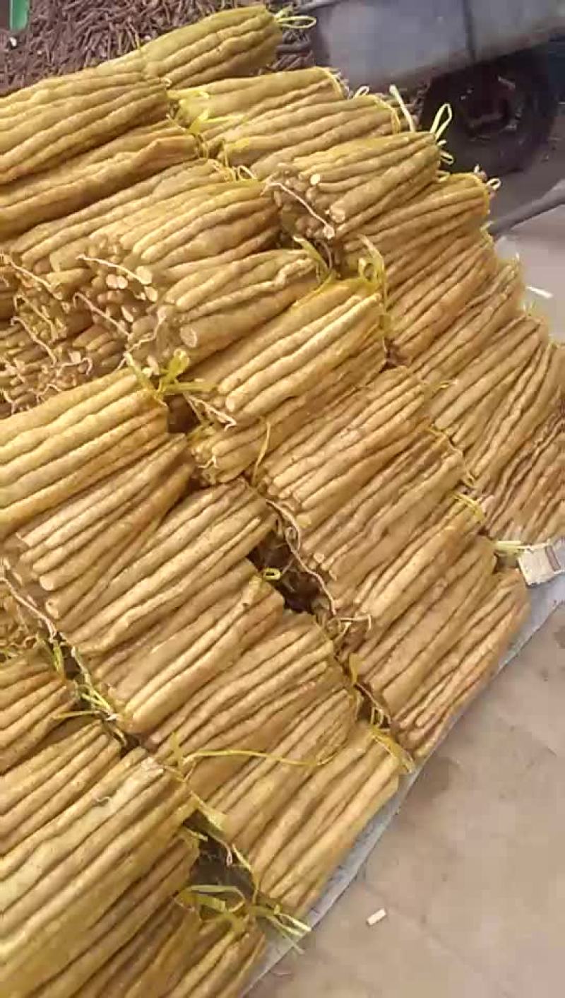白嘴网袋货