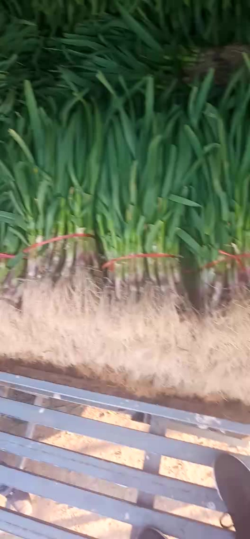 质量很好了