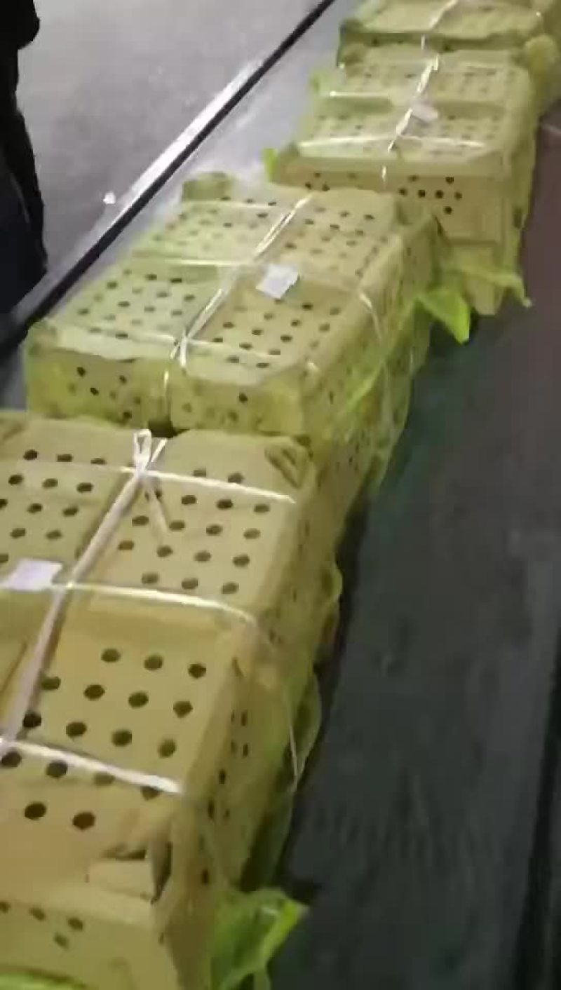 禽畜牧蛋肉