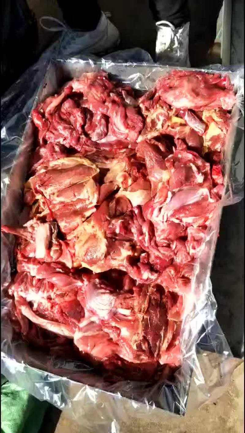 羊肉
