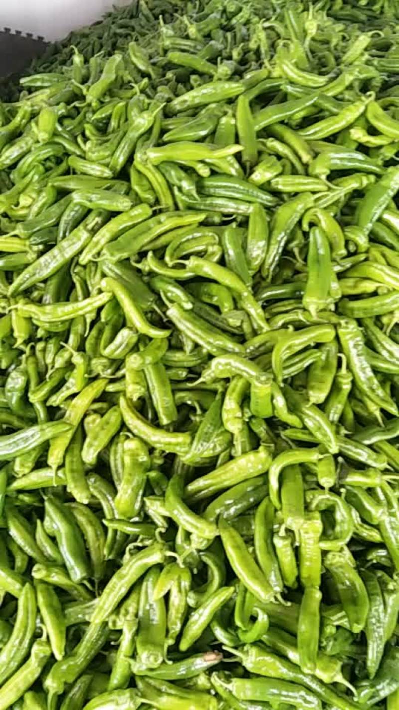 鲜辣椒