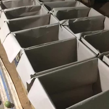 越南百香果