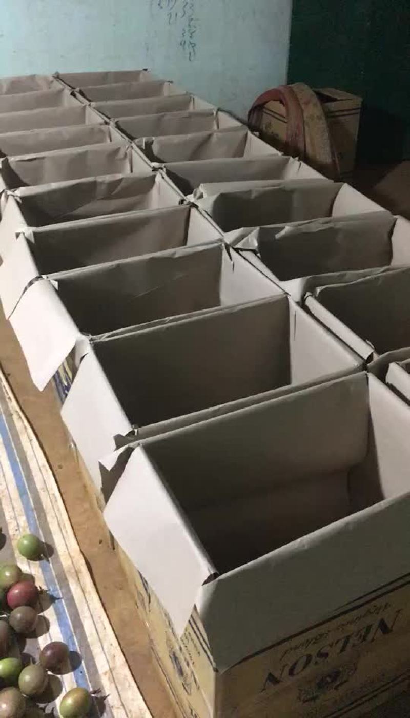 越南百香果