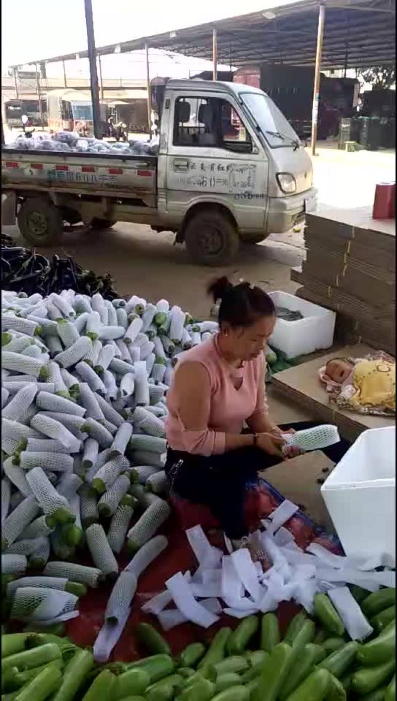 黑提葡萄8元，红椒5元公斤，小瓜2元