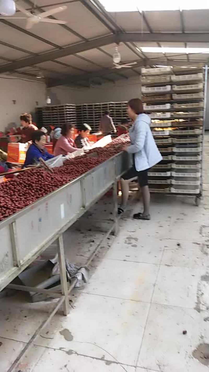 新疆灰枣精选中，有需要下单哟
