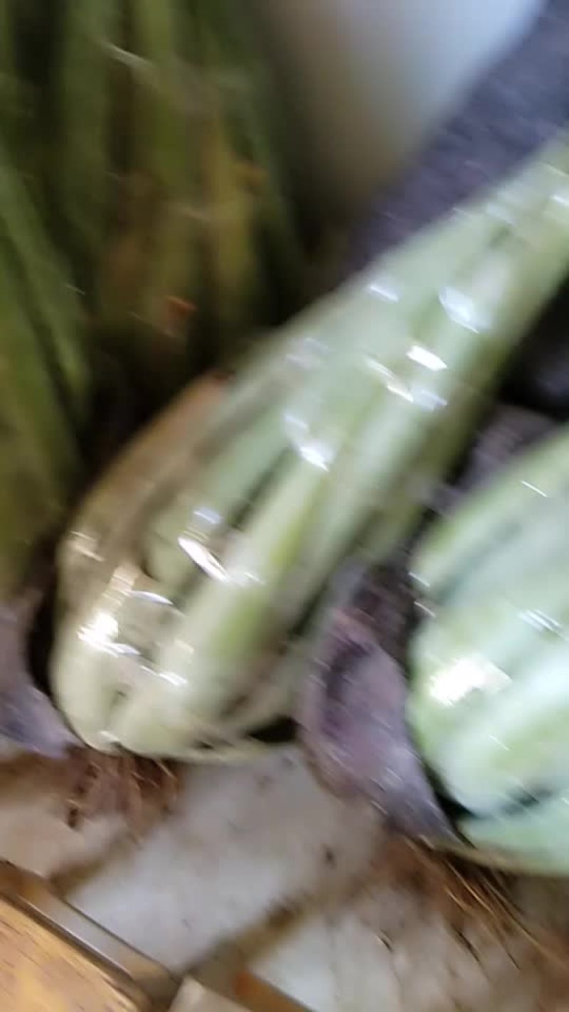 芦荟
