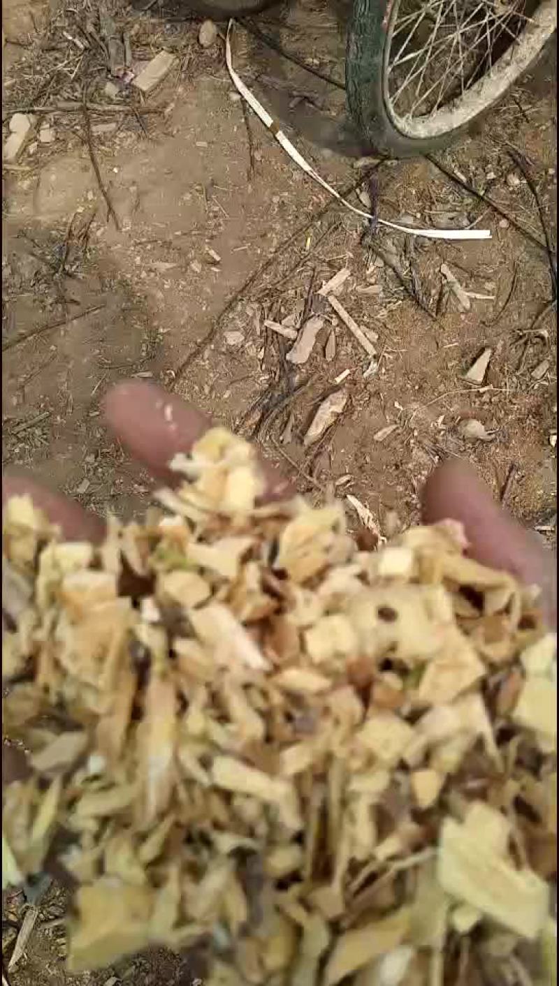 出售苹果木，梨木，核桃木等各种杂木锯末