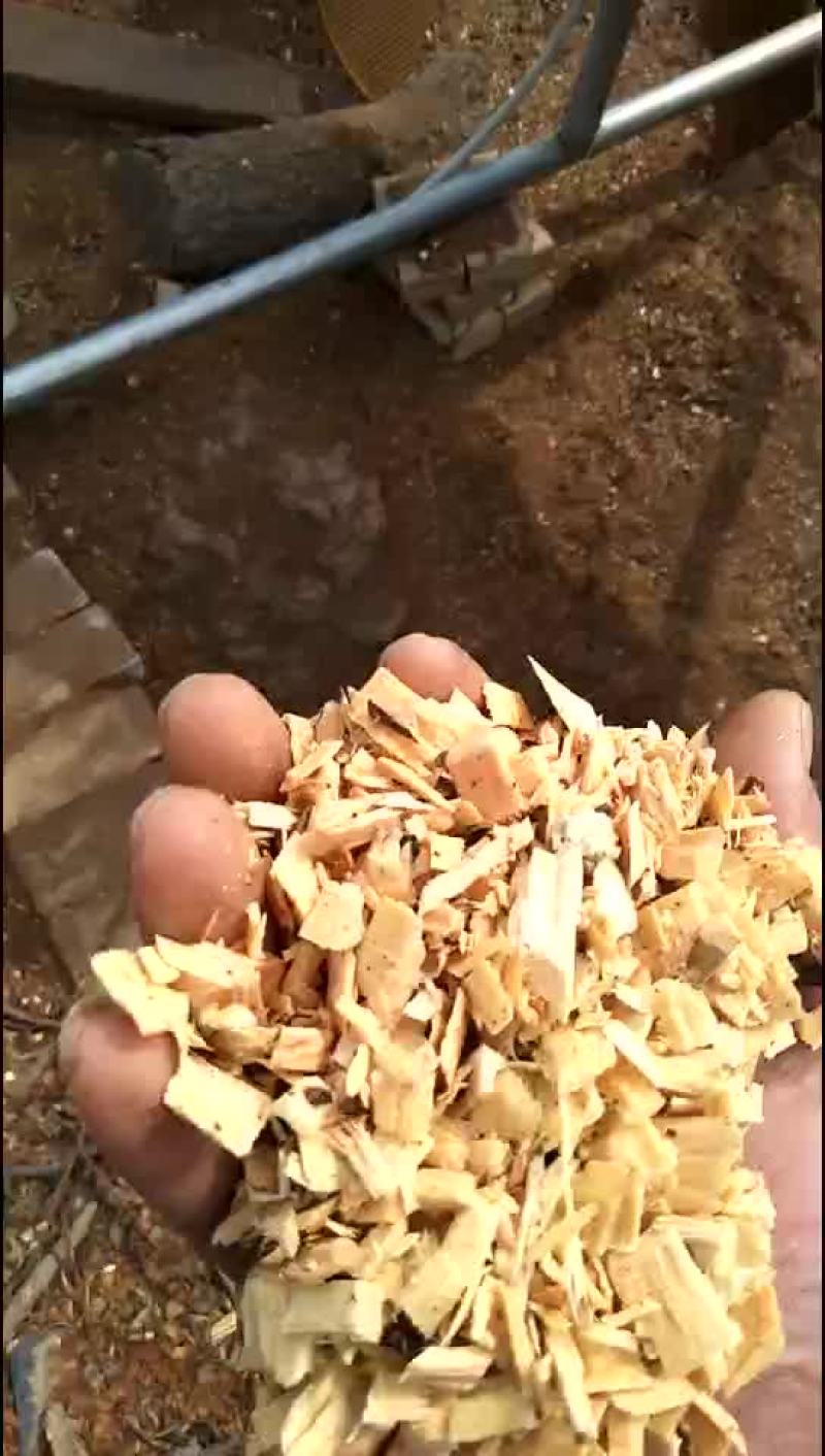 出售苹果木，梨木，核桃木等各种杂木锯末