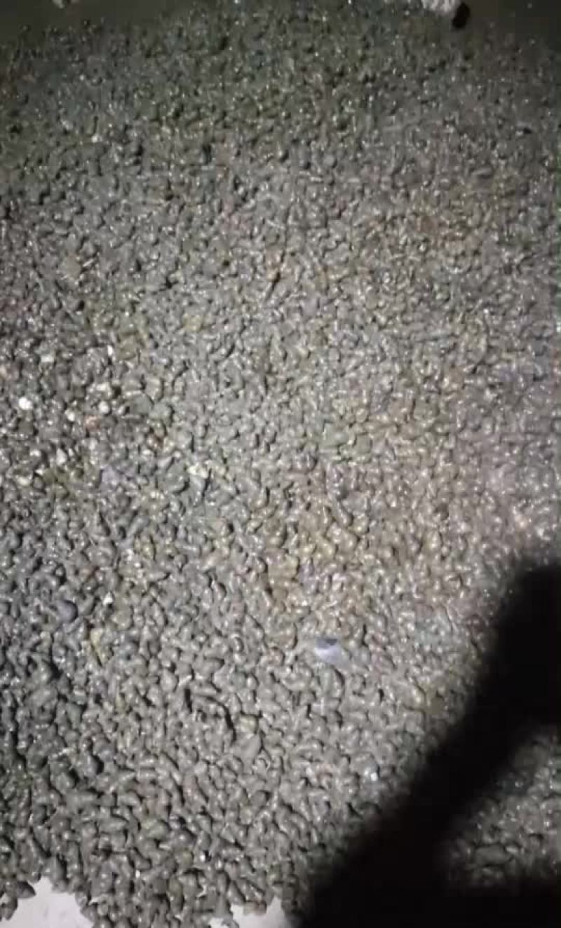 螺蛳