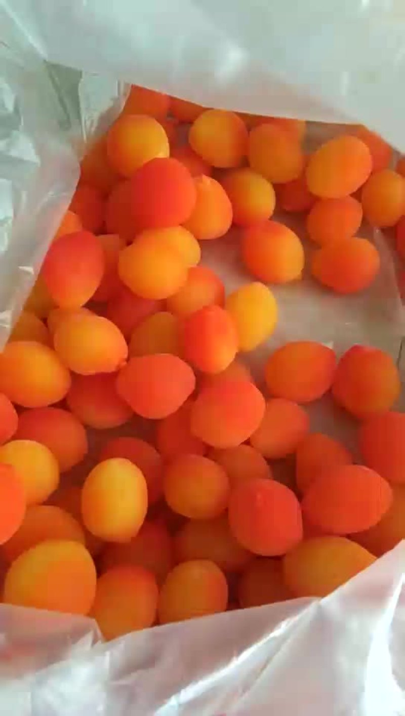 黄金果。单盒七两重，批发:六块钱一盒。