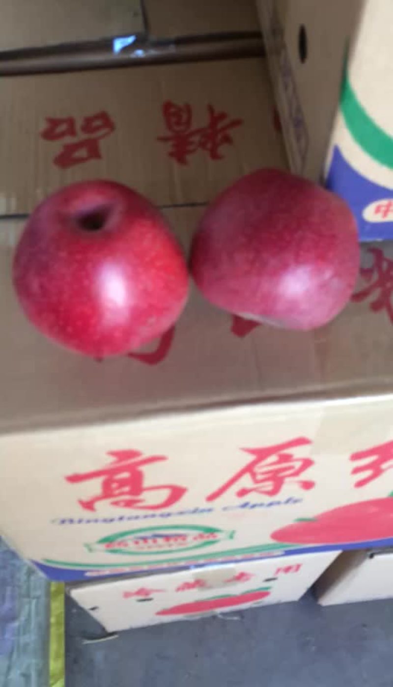 正宗陕西红富士苹果！