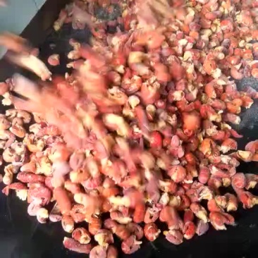 虾尾