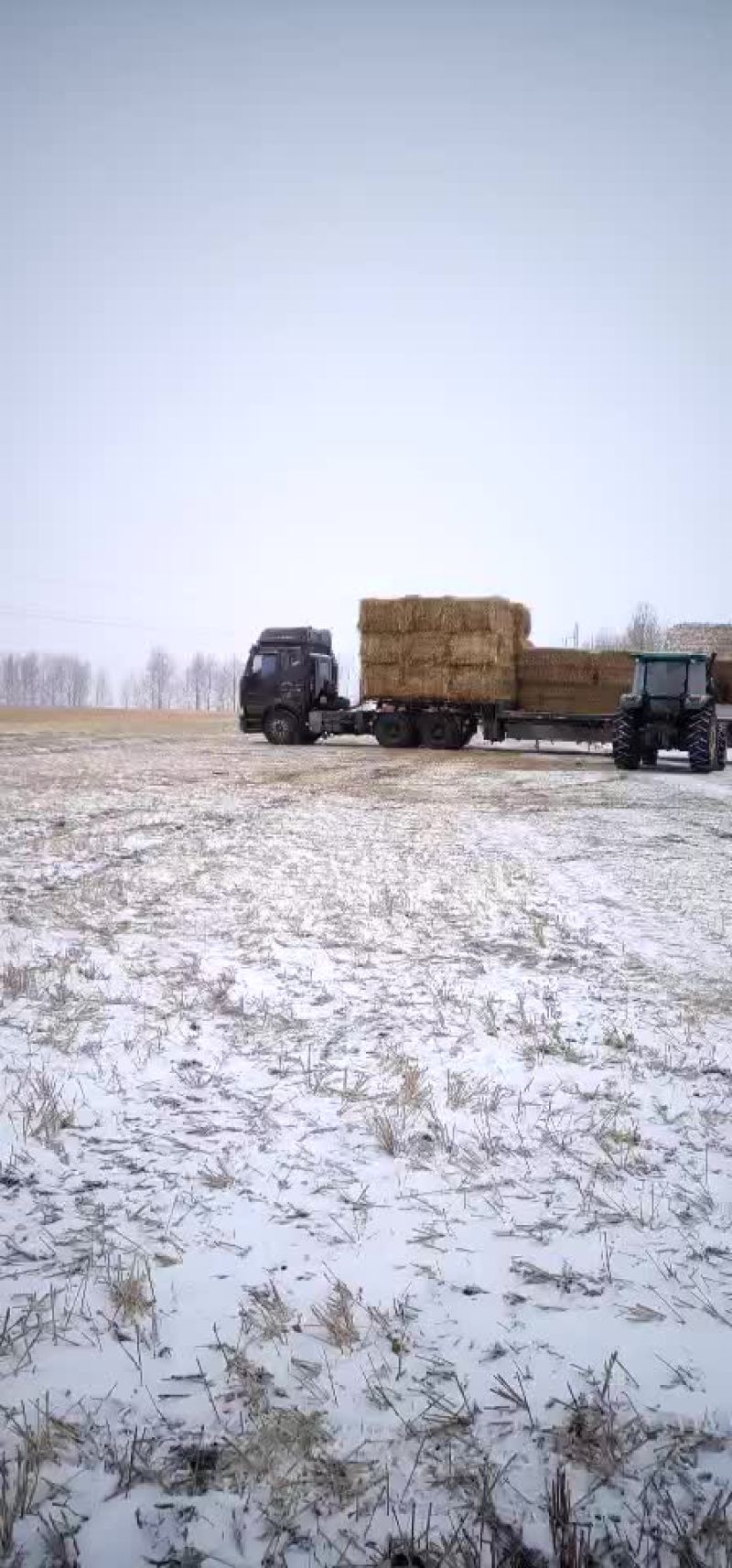 小麦秸秆