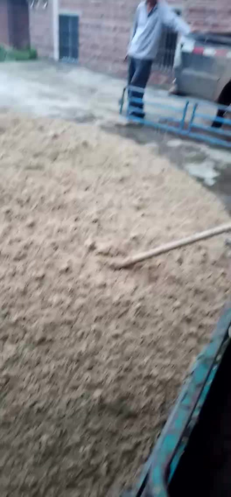 啤酒糟