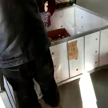 万家领苹果