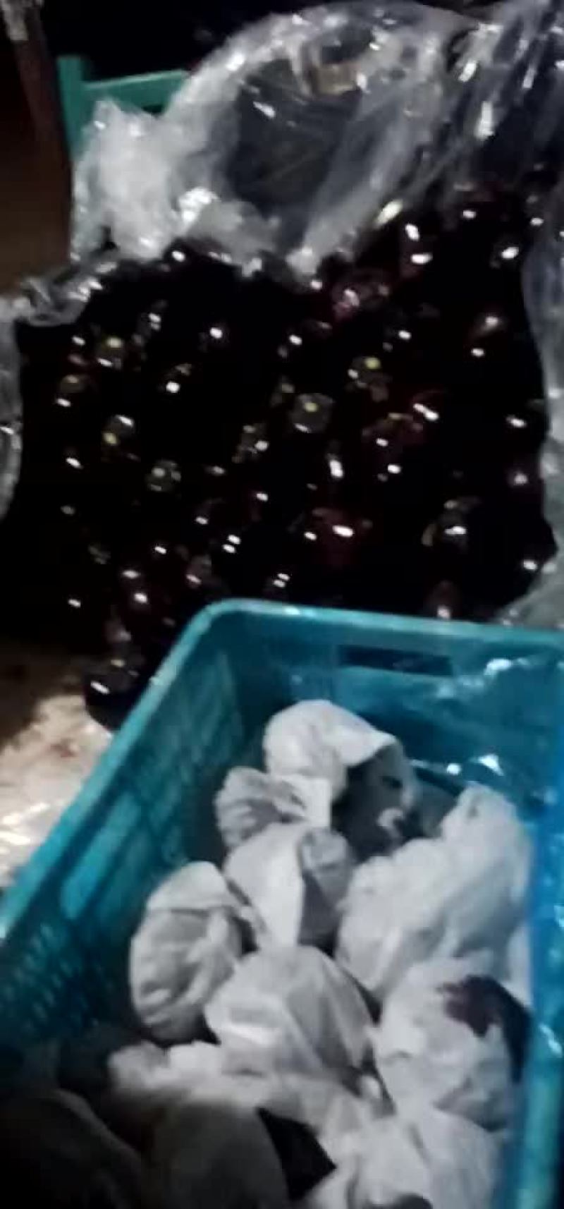 紫光圆茄大量上市中，一手货源，保证质量。长期供应