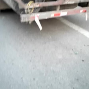 苏八地瓜通货次品大量供应，质量有保证价格便宜，明天早晨有