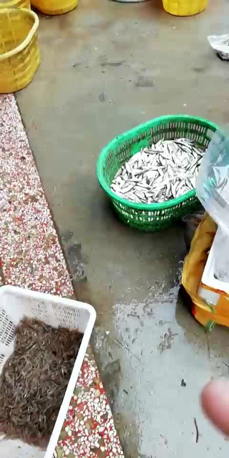 河虾