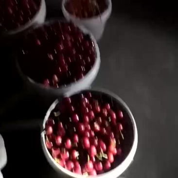 大樱桃