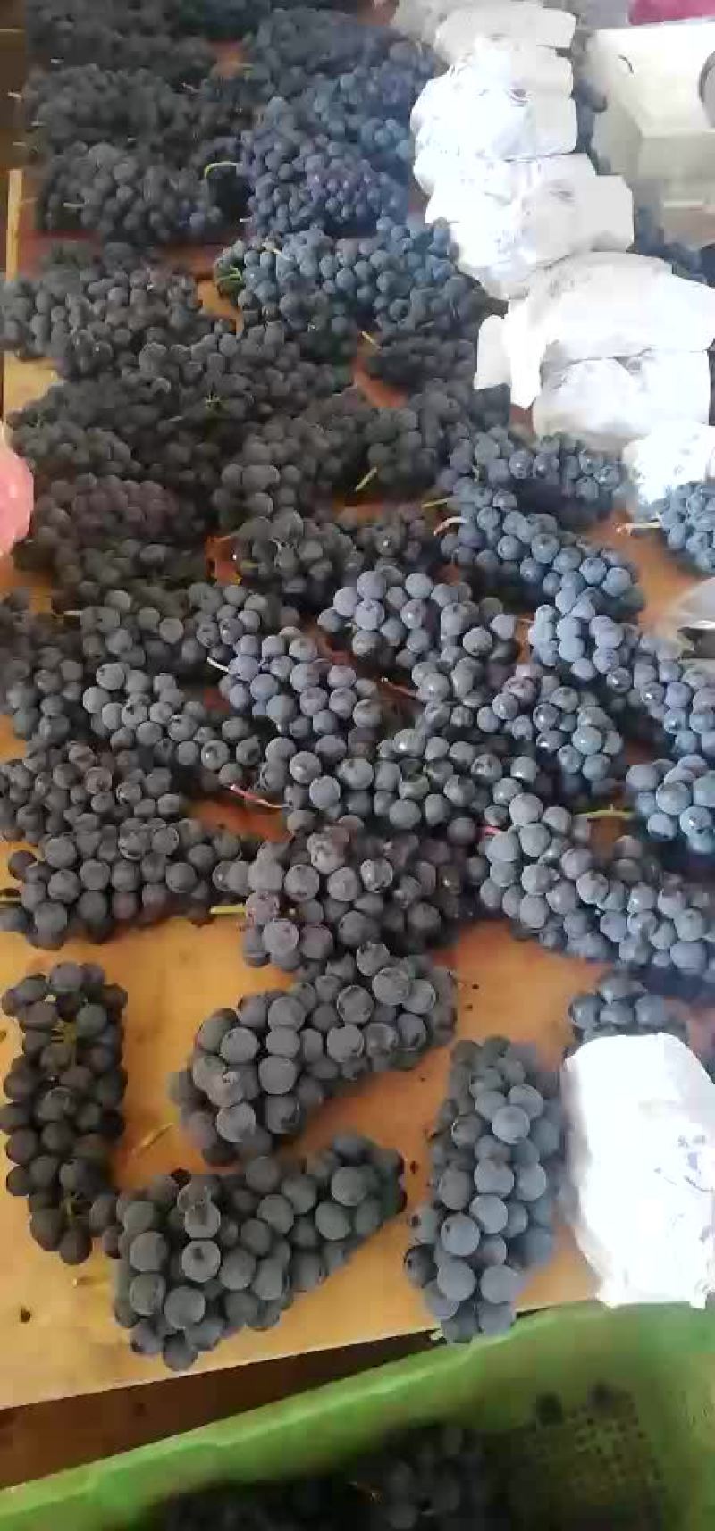 黑提