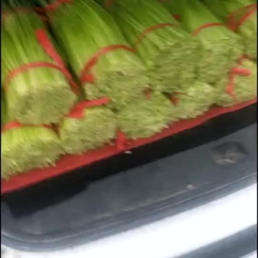 蒜苔