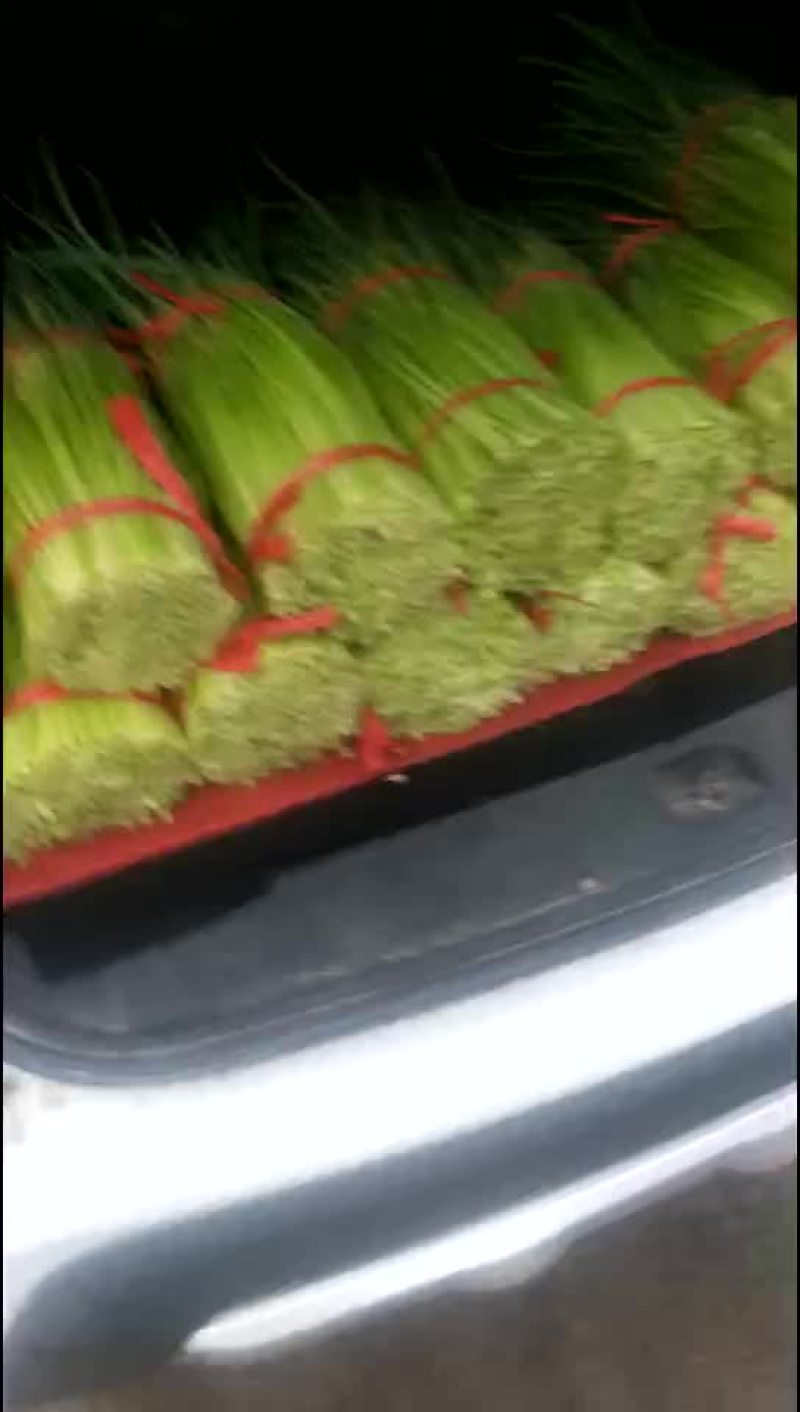 蒜苔