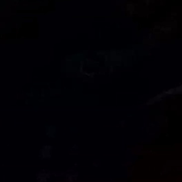白对虾